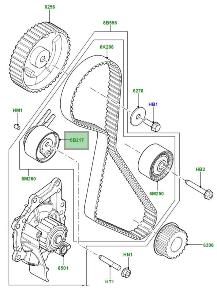 LR009395 TD.jpg