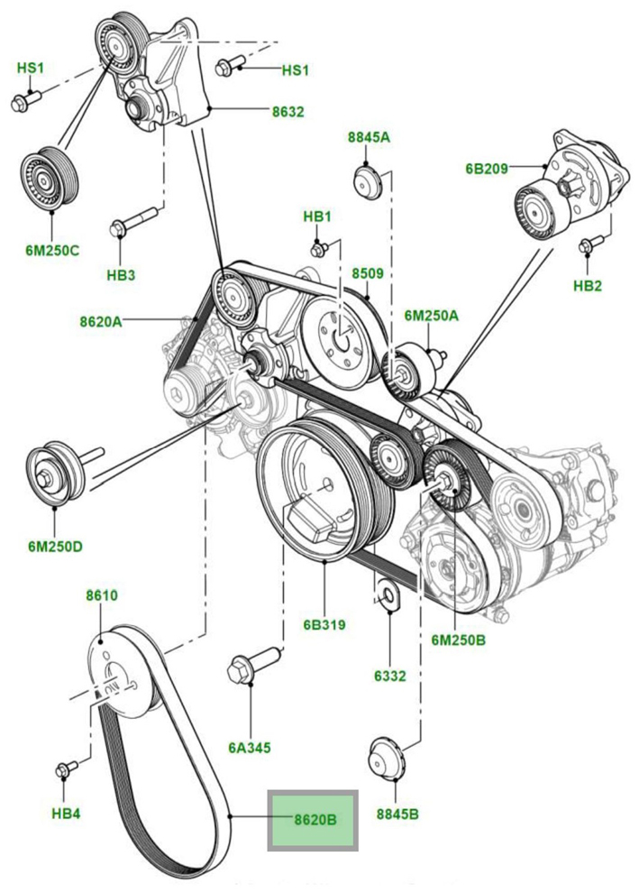 LR022804 TD.jpg